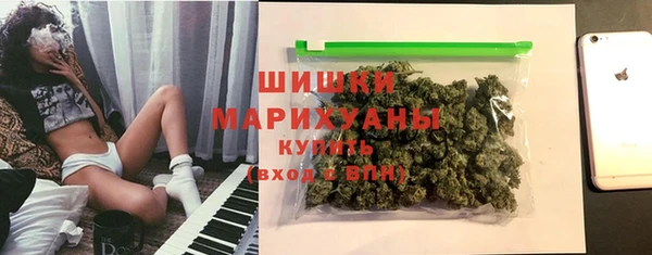 индика Нефтегорск