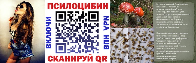 гидра сайт  Трубчевск  Псилоцибиновые грибы Psilocybe 